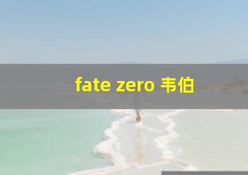 fate zero 韦伯